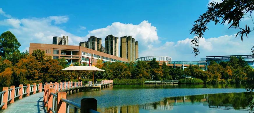 读了四川城市技师学院的感受,在四川城市学院读书是什么体验